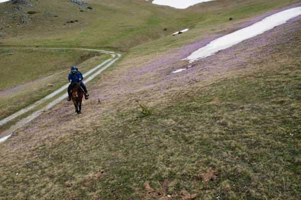 Die Entdeckung der Einsamkeit: Pferdereiten in Mazedonien