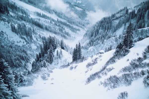 Unberührte Pulverschneehänge im Vorarlberger Montafon