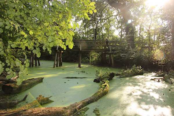 Altarm Fadenbach bei Orth