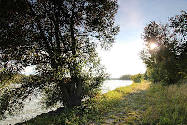 Wanderweg in der Schönau
