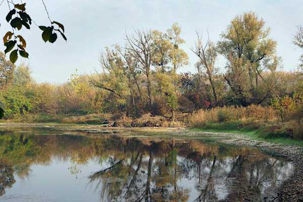 Aulandschaft Petronell