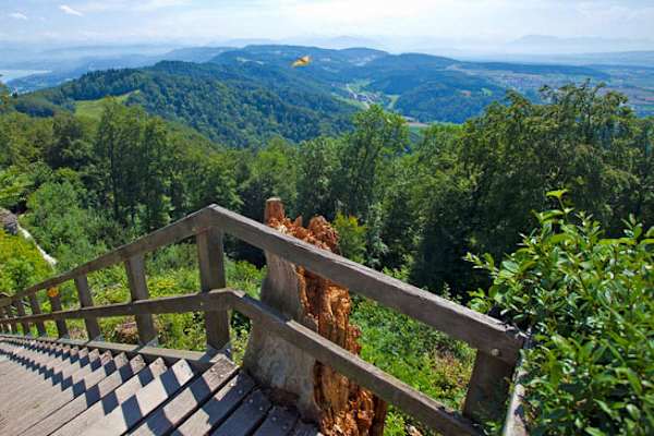 Panoramaweg über Zürich: Wandern am Uetliberg