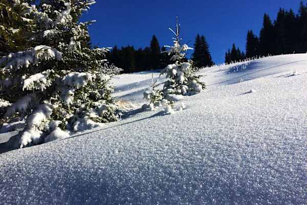 Transsilvanien: Munții Bârsei bei Brașov