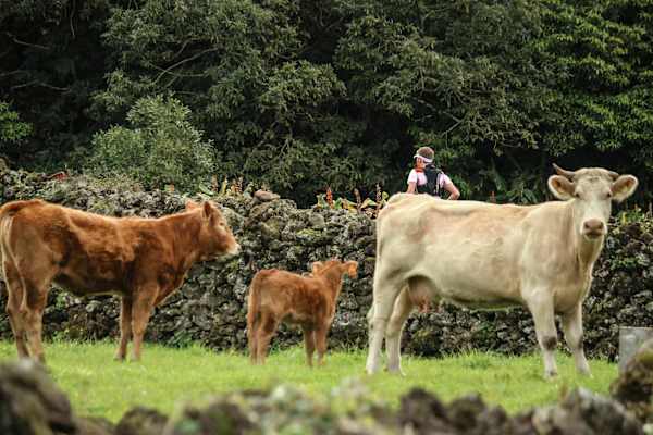 Montanha do Pico: Der höchste Berg Portugals