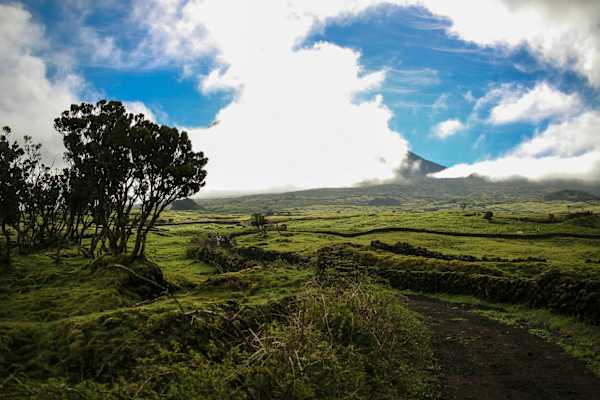 Montanha do Pico: Der höchste Berg Portugals