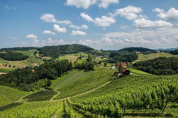 Ratsch liegt an der Südsteirischen Weinstraße.