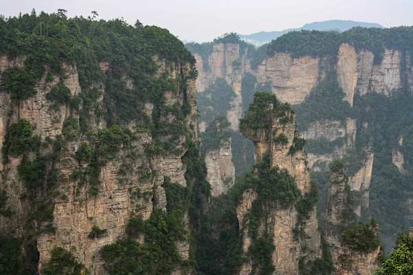 Dicht bewaldete Sandsteingipfel im Zhangjiajie Nationalpark in China