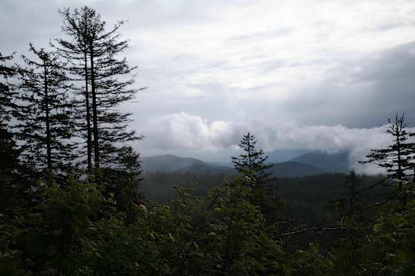 24 h Trophy: 24 Stunden wandern im Schwarzwald