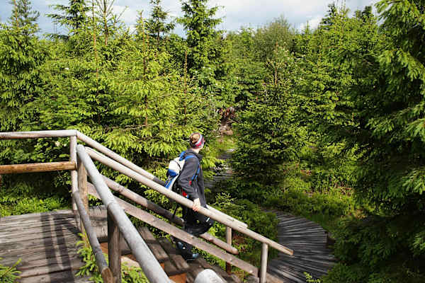 24 h Trophy: 24 Stunden wandern im Schwarzwald