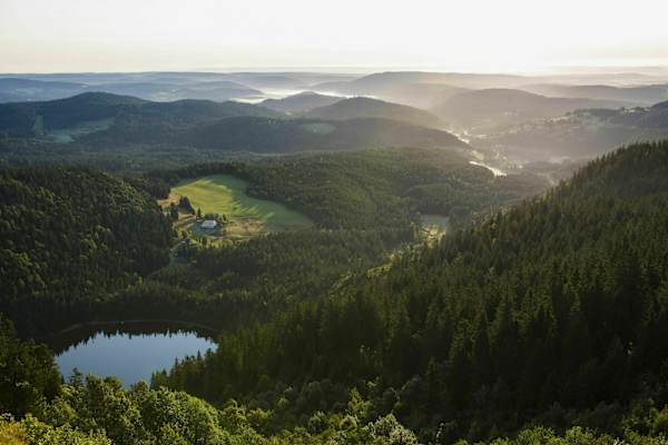 Unterwegs im Schwarzwald: Am Feldsee