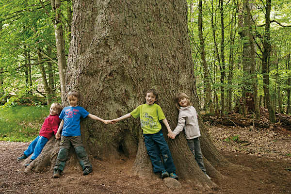 Erlebniswandern mit Kindern