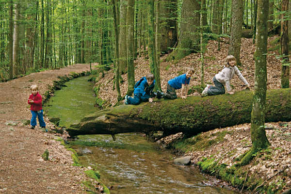 Erlebniswandern mit Kindern