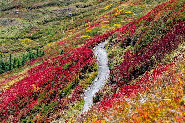 Mount-Rainier-Nationalpark in Washington (USA)