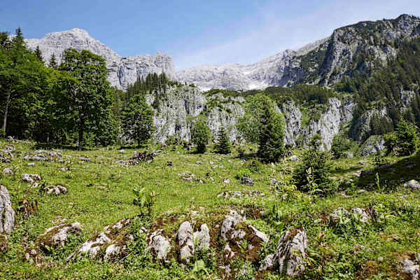 Sonnige Almen prägen das Bild des Gesäuses unterhalb der Gipfelregionen.