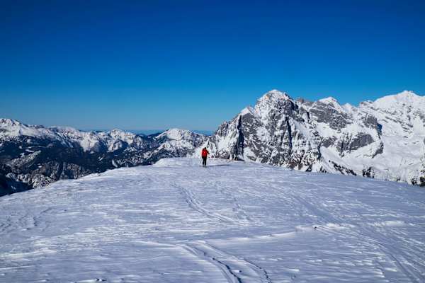 Skitour: Gipfelplateau des Blasenecks im Gesäuse