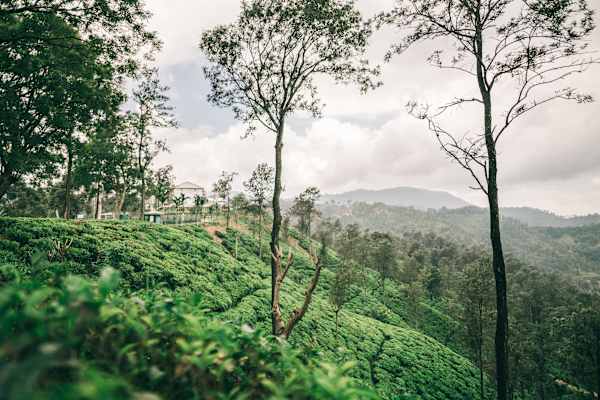 Indien Sri Lanka Fotostrecke