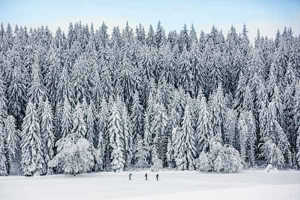 Naturpark Doubs bei La Chaux-de-Fonds