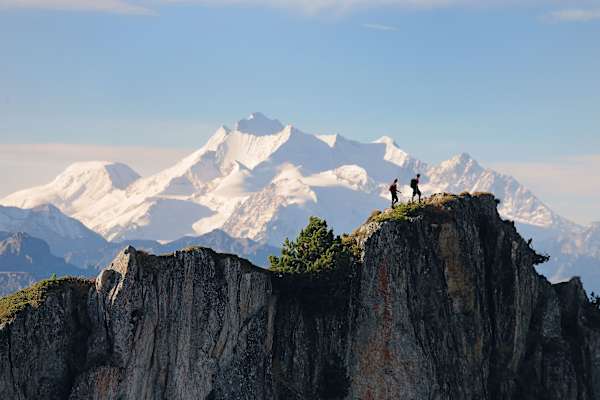Aletschwald UNESCO Jungfrau-Aletsch