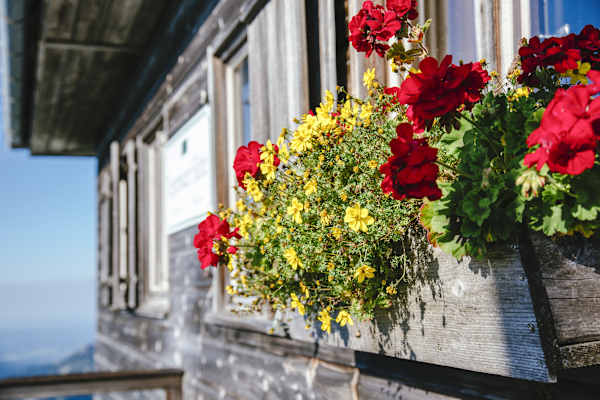 Tegernseer Hütte Bergwelten