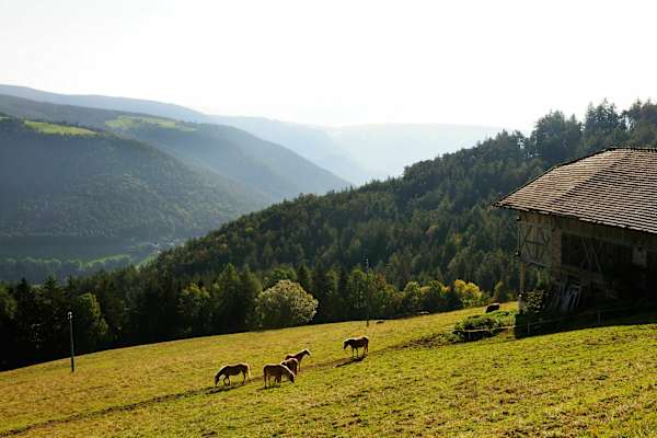 Wandern bei Jenesien am Tschögglberg in Südtirol