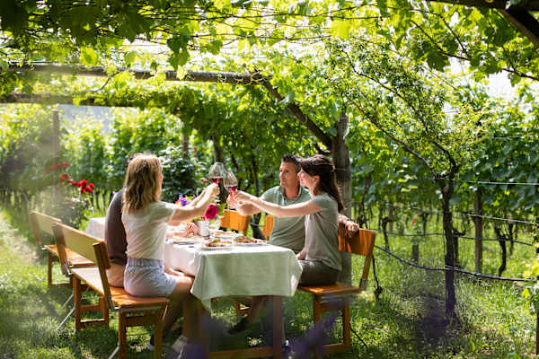 Eine vierköpfige Gruppe sitzt in den Weinreben rund um einen Tisch und stößt mit Weingläsern an.