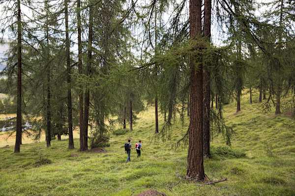Lai Nair: Der kleine Moorsee hinter den Bäumen ist ein beliebtes Ausflugsziel