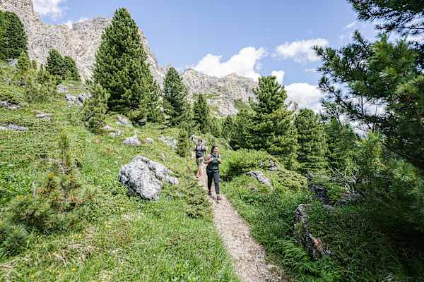 Auf mittelschweren Bergwegen geht es durch Zirbenwälder und vorbei an imposanten Felswänden.