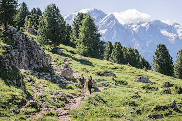 Zirben und prächtige Berggipfel prägen das Bild der Dolomiten und sorgen für unvergesslich Wandererlebnisse.