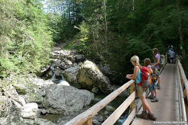 Blick von der Brücke auf die Starzlach.