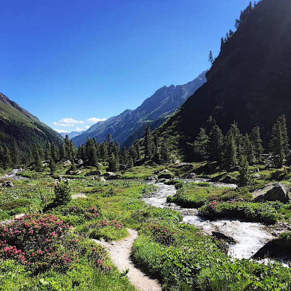 Wandertipp: Dorfertal nationalpark Hohe Tauern