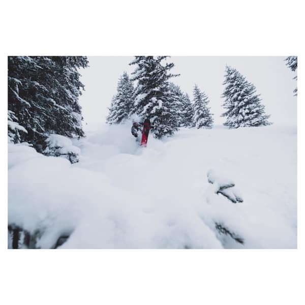 Im Wald von Kitzbühel konnte einer unserer User vor einigen Tagen wundervollen Pulverschnee vorfinden