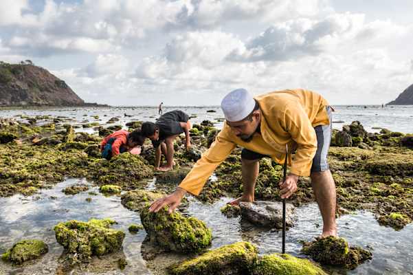 Vater und Söhne beim Muscheln suchen