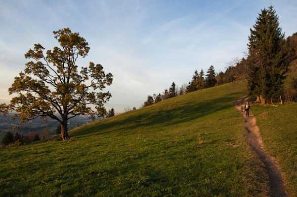 Absteig von der Sonntratn im Abendlicht