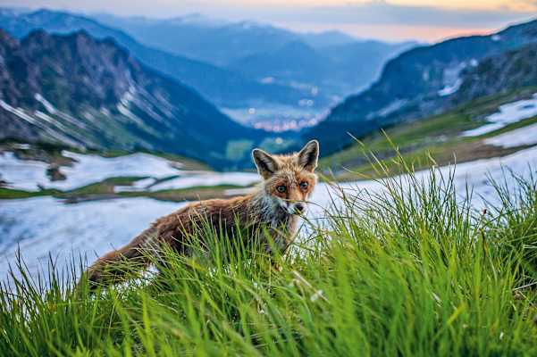 Bernd Römmelt Naturwunder Bayerische Alpen