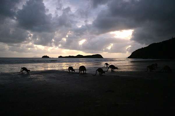 Reise Familie Australien Roadtrip