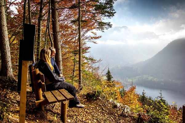 Aussichtsbankerl über dem See