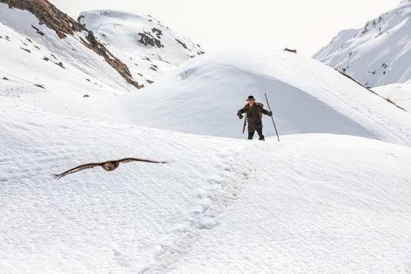 Film: Wie Brüder im Wind
