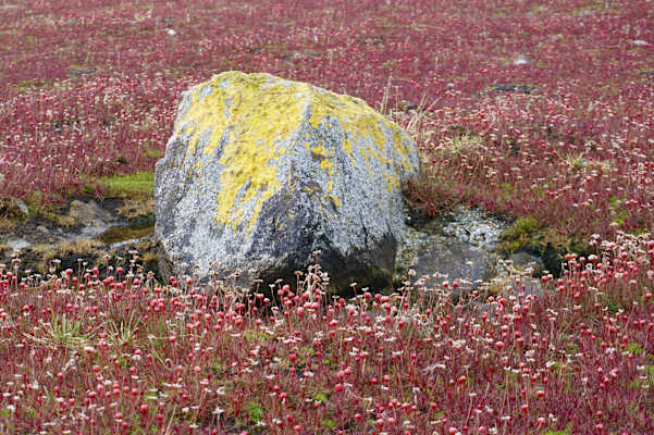 Expedition Feuerland