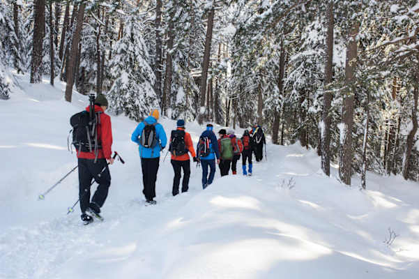Seefeld Winterweitwanderweg 