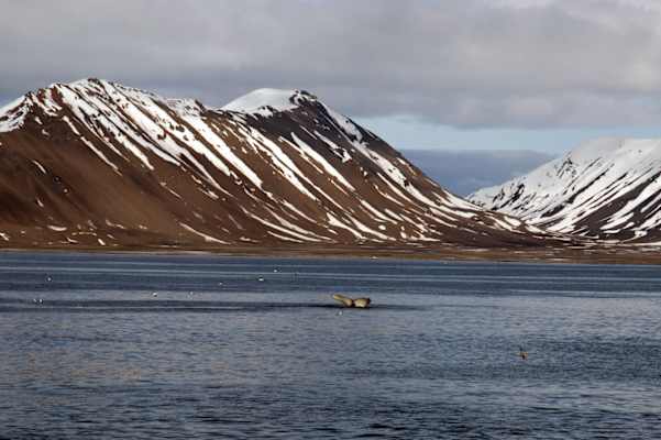 Spitzbergen Reise