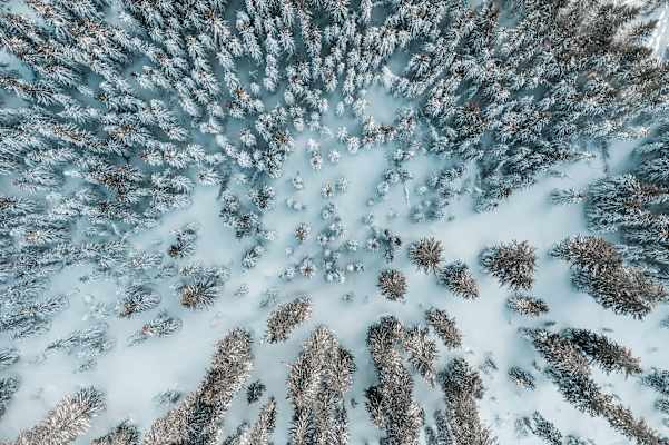 Naturjuwel Nationalparkregion Gesäuse