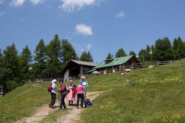 Am Weg zur Hühnerspielhütte