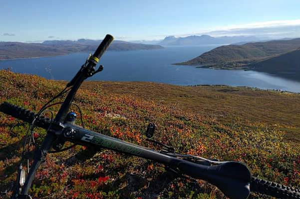Senja Norwegen Reise