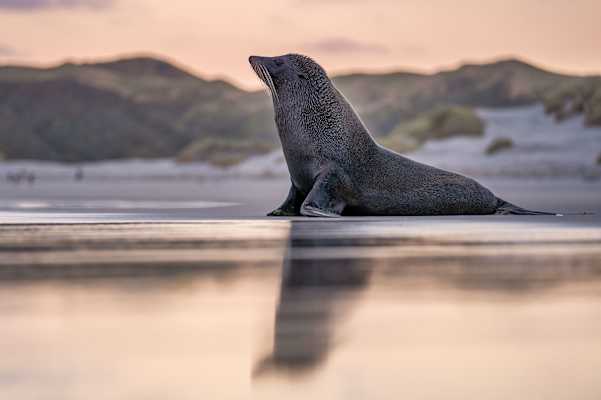 Familienurlaub Neuseeland