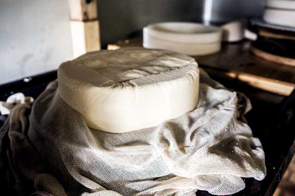 Wer möchte davon nicht gern ein Stück: Ein Laib Berner Alpkäse von Jessica und Raphael Rinnerthaler.