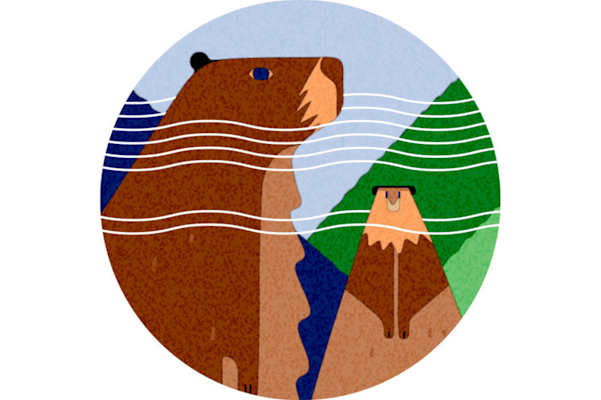 Wandern Spuren in der Natur