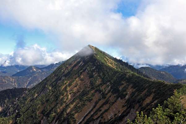 Die bunt zusammengewürfelte Truppe 