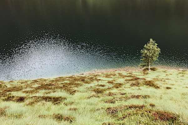 Ana Zirner In 40 Tagen über die Pyrenäen