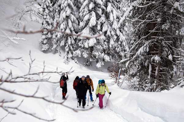 Seefeld Winterweitwanderweg 