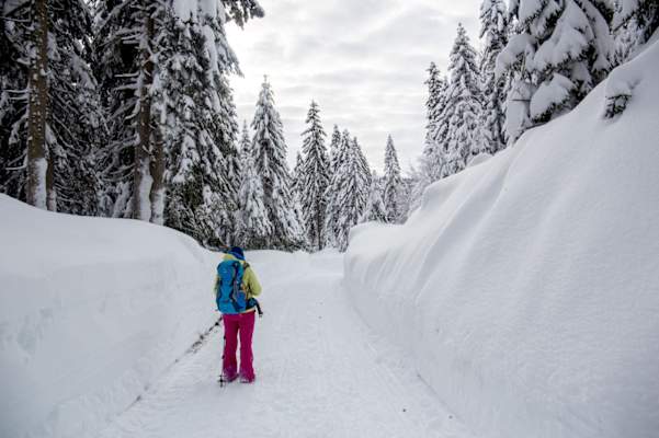 Seefeld Winterweitwanderweg 